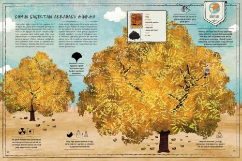 Ağaç Atlası (Fleksi Kapak) - 3