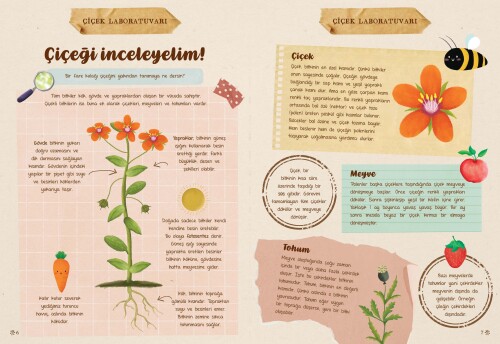 Çiçek Günlüğü - 2