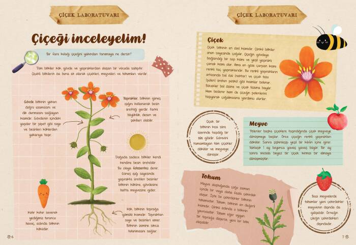 Çiçek Günlüğü - 2