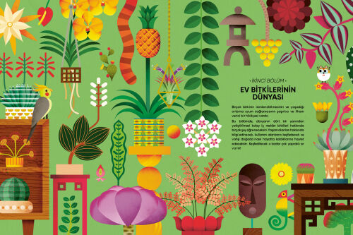 Evindeki Orman - 2